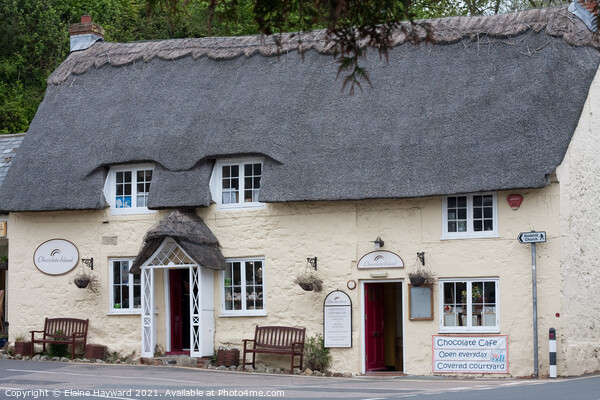 Chocolate cafe in Godshill on the Isle of Wight Picture Board by Elaine Hayward