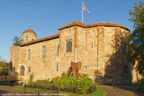 Colchester Castle in autumn Picture Board by Elaine Hayward