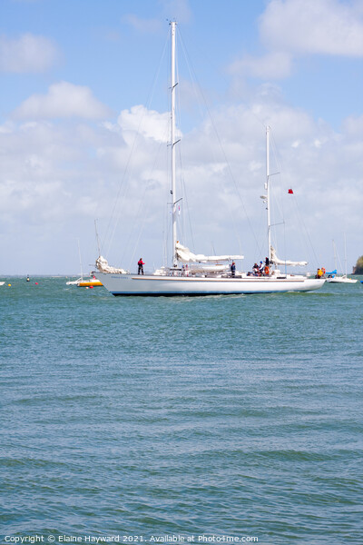 Donald Searle yacht leaving Cowes harbour Picture Board by Elaine Hayward