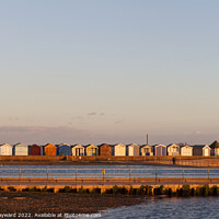 Buy canvas prints of Beach huts at Brightlingsea during golden hour by Elaine Hayward