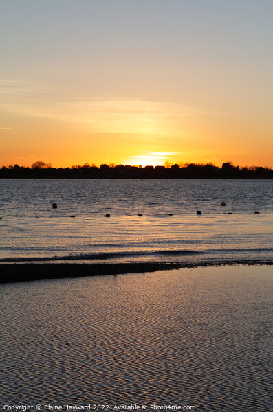 Sunset over the Colne estuary at Brightlingsea Picture Board by Elaine Hayward