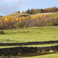 Buy canvas prints of Peak District landscape in autumn by Elaine Hayward
