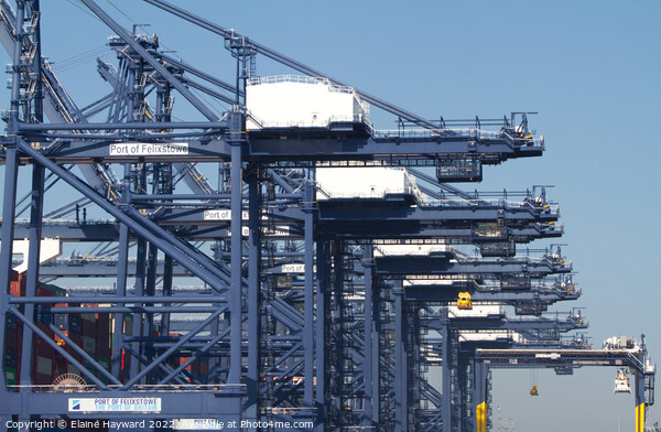 Felixstowe port with a close up of the cranes Picture Board by Elaine Hayward