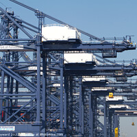 Buy canvas prints of Felixstowe port with a close up of the cranes by Elaine Hayward
