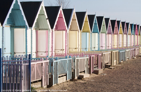 West Mersea beach huts Picture Board by Elaine Hayward