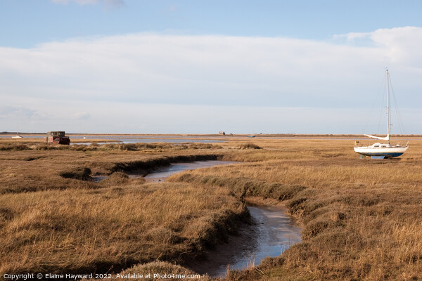 Blakeney marshes Picture Board by Elaine Hayward