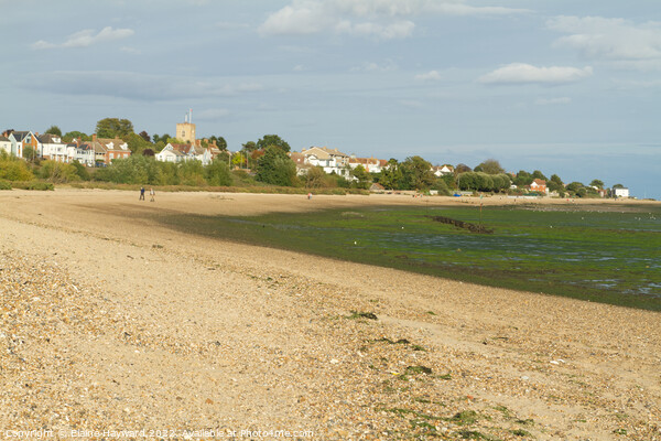 West Mersea beach at low tide Picture Board by Elaine Hayward