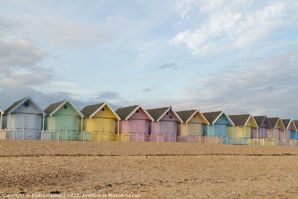 Mersea Island beach huts Picture Board by Elaine Hayward