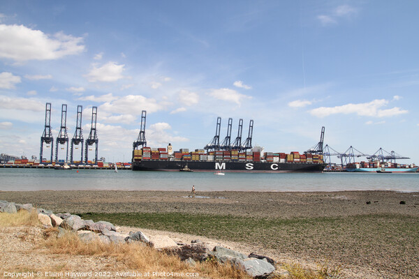 Felixstowe Port across the River Stour Picture Board by Elaine Hayward