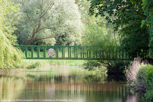 Footbridge over the Little Ouse in Thetford Picture Board by Elaine Hayward