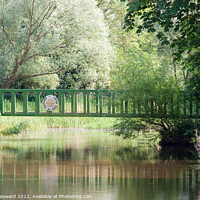 Buy canvas prints of Footbridge over the Little Ouse in Thetford by Elaine Hayward