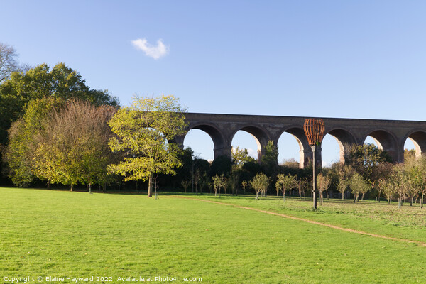 Chappel Viaduct in the Colne Valley, Essex Picture Board by Elaine Hayward