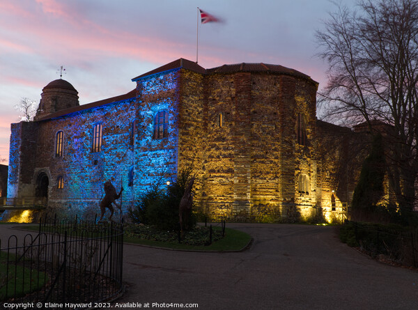 Colchester Castle illuminated at sunset Picture Board by Elaine Hayward