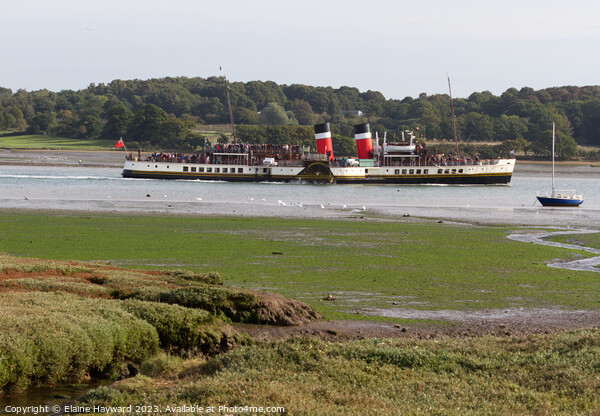 PS Waverley on the River Orwell Picture Board by Elaine Hayward