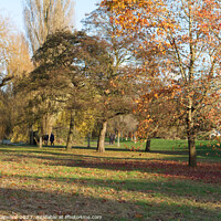 Buy canvas prints of Autumn in Castle Park Colchester  by Elaine Hayward