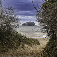 Buy canvas prints of Bass Rock From Seacliff Beach. by John Godfrey Photography