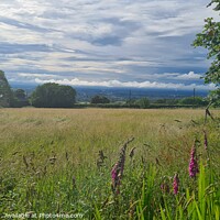 Buy canvas prints of Looking to the Cheshire Plains by I Hibbert