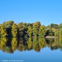 Buy canvas prints of Autumn Reflection by I Hibbert