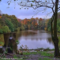 Buy canvas prints of An autumn scene by I Hibbert