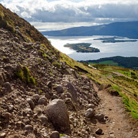 Buy canvas prints of The path to Lomond by Paul Pepper