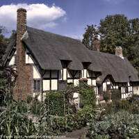 Buy canvas prints of Anne Hathaway's Cottage Stratford upon Avon UK by Raymond Evans