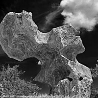 Buy canvas prints of Unusual Rock 2 by Raymond Evans