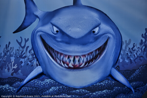 Shark grinning  Framed Print by Raymond Evans