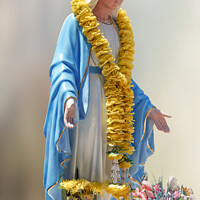 Buy canvas prints of Virgin Mary Statue by Raymond Evans