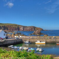 Buy canvas prints of St Abbs Fishing Harbour by Grant Mckane
