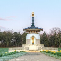 Buy canvas prints of Peace Pagoda, Milton Keynes by Grant Mckane