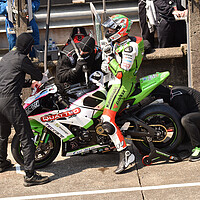 Buy canvas prints of IOM TT road races, James Hillier – Muc-Off Quattro Plant Kawasaki by Russell Finney