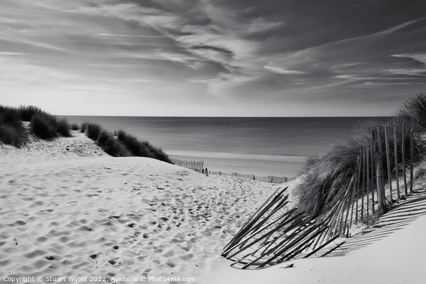 Sand Dune, Sea & Marram Grass Picture Board by Stuart Wyatt