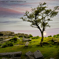 Buy canvas prints of Dartmoor Sunset Moonrise by Stuart Wyatt