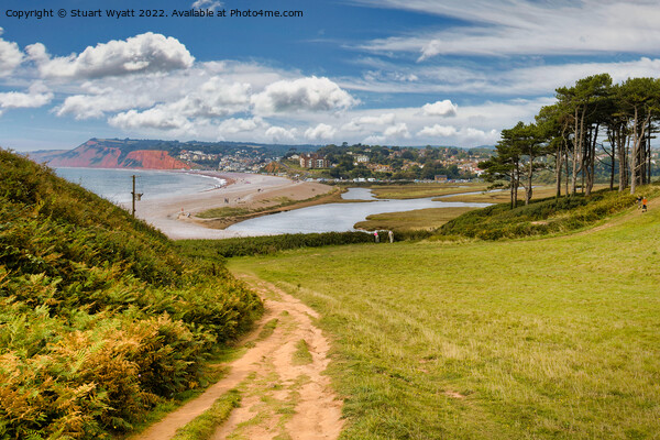 Budleigh Salterton from South West Coast Path Picture Board by Stuart Wyatt