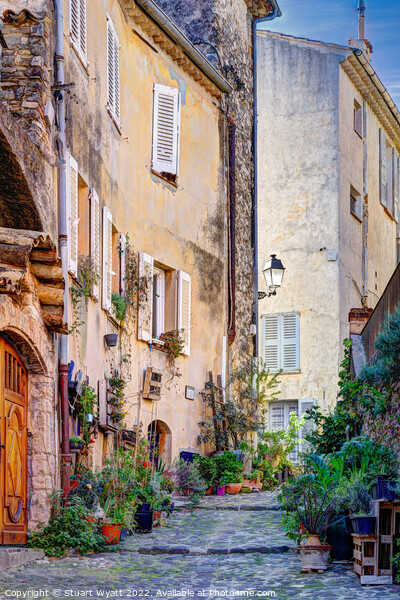 Street Scene Provence Picture Board by Stuart Wyatt
