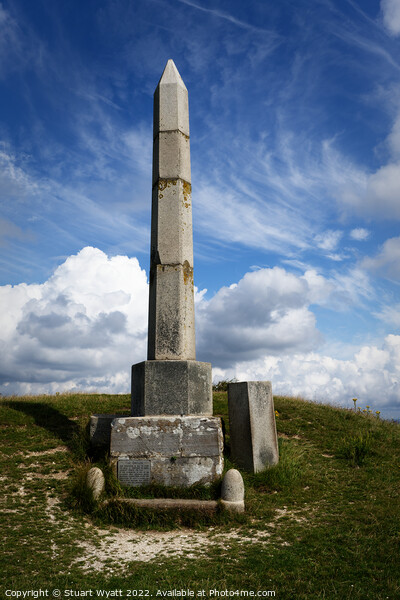 The Obelisk, Ulwell, Swanage Picture Board by Stuart Wyatt