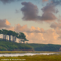 Buy canvas prints of South Devon Sunset by Stuart Wyatt