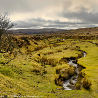 Buy canvas prints of Dartmoor Natural Spring by Stuart Wyatt
