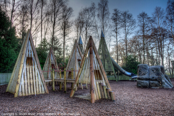 Moors Valley adventure playground Picture Board by Stuart Wyatt