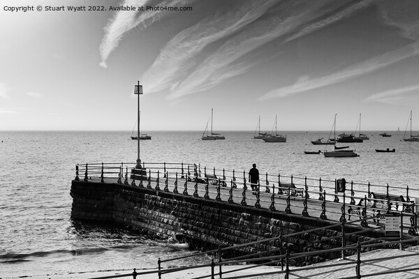 Swanage banjo pier black and white Picture Board by Stuart Wyatt
