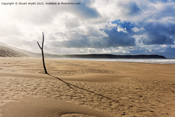 Woolacombe Beachscape Picture Board by Stuart Wyatt