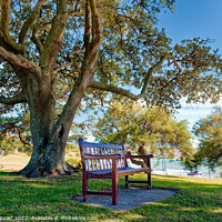 Buy canvas prints of Bench in the shade by Stuart Wyatt