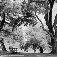 Buy canvas prints of Bench with a view by Stuart Wyatt