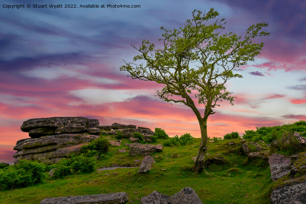 Dartmoor Sunset Picture Board by Stuart Wyatt