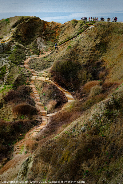 Steps to Man of War Bay, Dorset Coast Picture Board by Stuart Wyatt