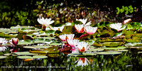 Click to show how this picture will look as a piece of wall art
