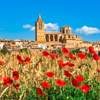 Buy canvas prints of Sineu village Mallorca. Red Poppy Field by Alex Winter