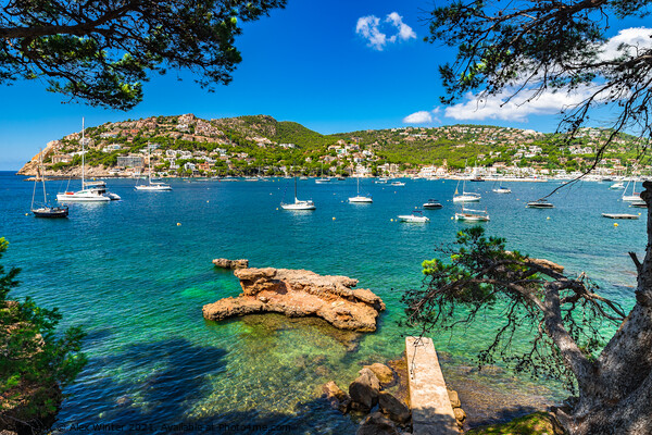 Port de Andratx, Majorca, Idyllic bay with boats Picture Board by Alex Winter