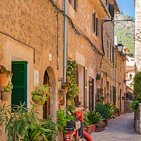 Buy canvas prints of Rustic Romance in Valldemossa by Alex Winter