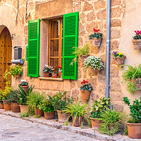 Buy canvas prints of A Rustic Street Lined with Flowers in the Old Vill by Alex Winter